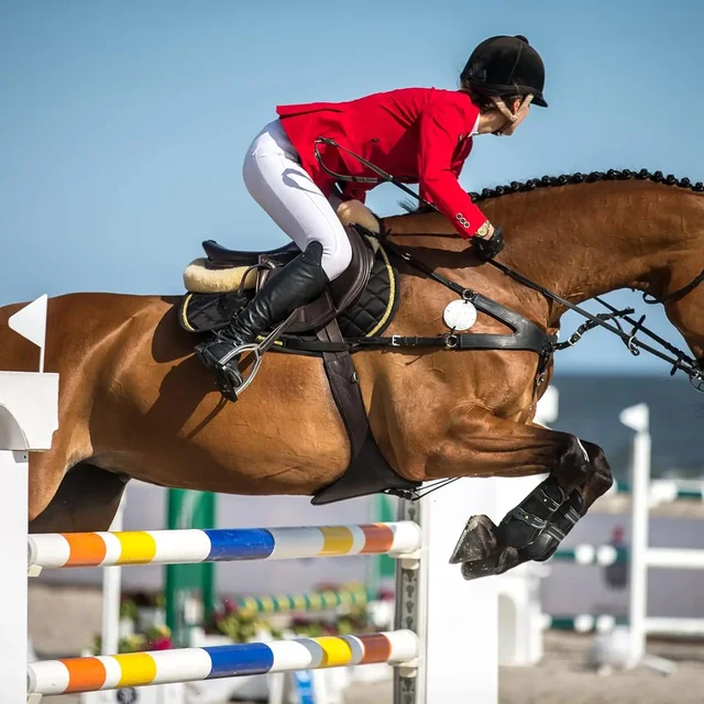 De Equitación Mallas De Montar A Caballo Decathlon Pantalones