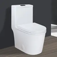 Small One Piece Toilet 23" Depth Modern Compact Short Design with Matte Black Button for Small Tiny Mini Bathroom 12" Rough-in 2