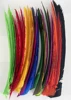 LW 25 Pcs Turkey Full Length Feathers Fletching for Archery Arrow Spiral Twist Wrap Feathers 7-10inch Flu-Flu Arrows Left Wing 2
