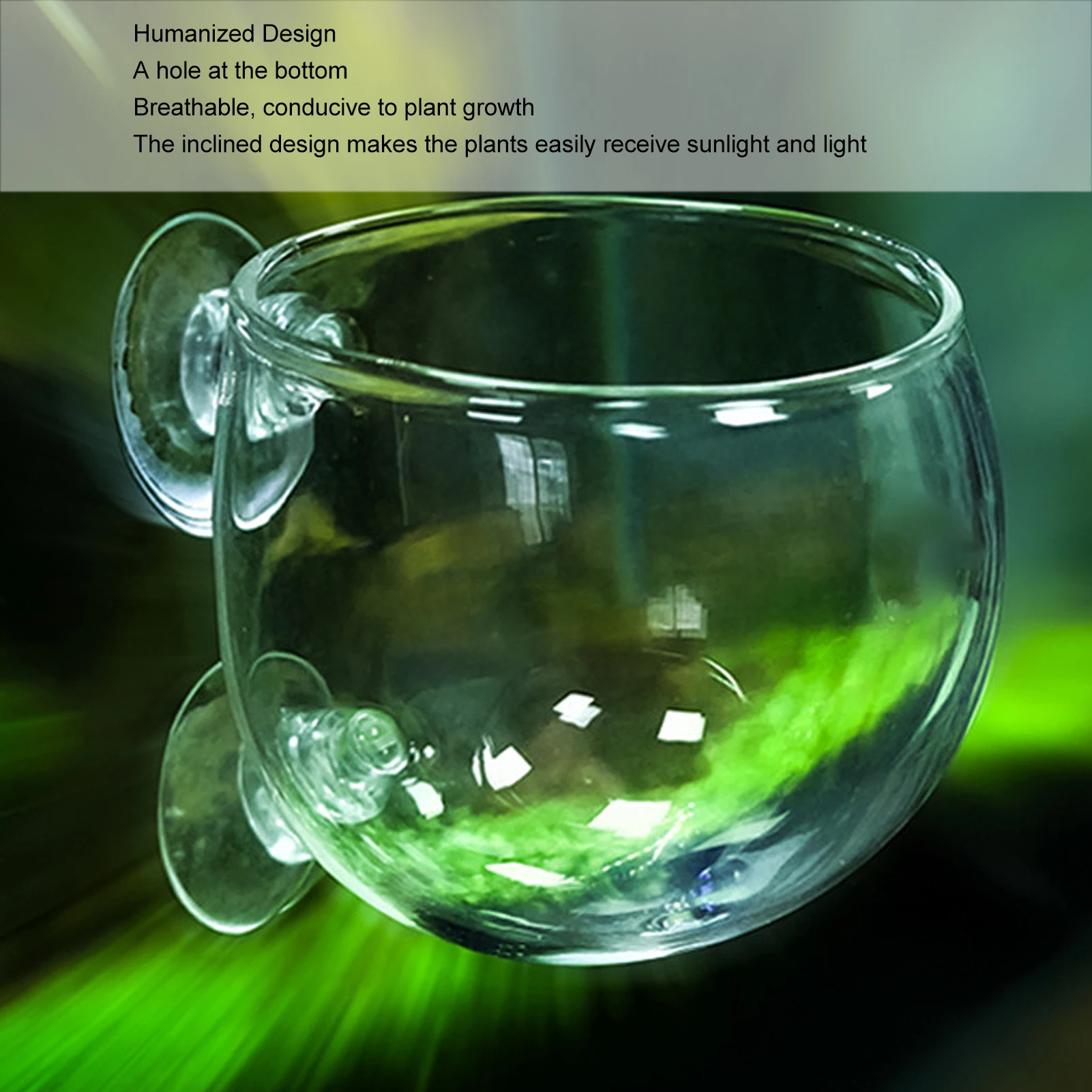 

Aquarium Plant Holder Glass Decorative Bracket Fish Tank Plant Cup with Suction Cups for Freshwater Saltwater Landscape