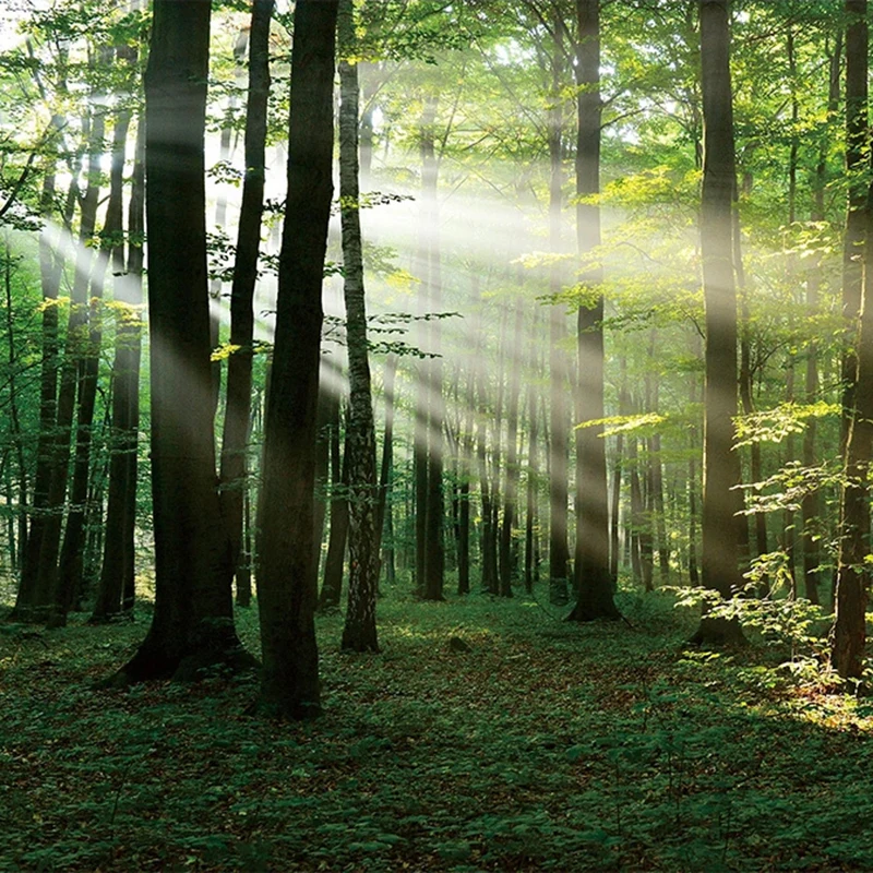 computers electronics 04