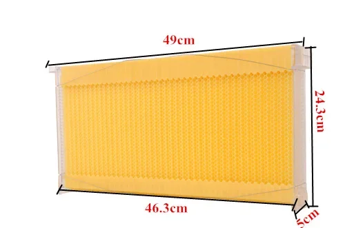 Self Flowing Hive Frames Automatic Extraction Boxes Honey Spleen Plastic Honey Hive Frames Beehives