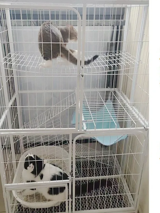 조절 가능 확장형 애완동물 케이지 고양이 케이지 토끼 케이지 23층 애완동물 케이지 리뉴얼 라이트 오트 색상 고양이와 토끼용