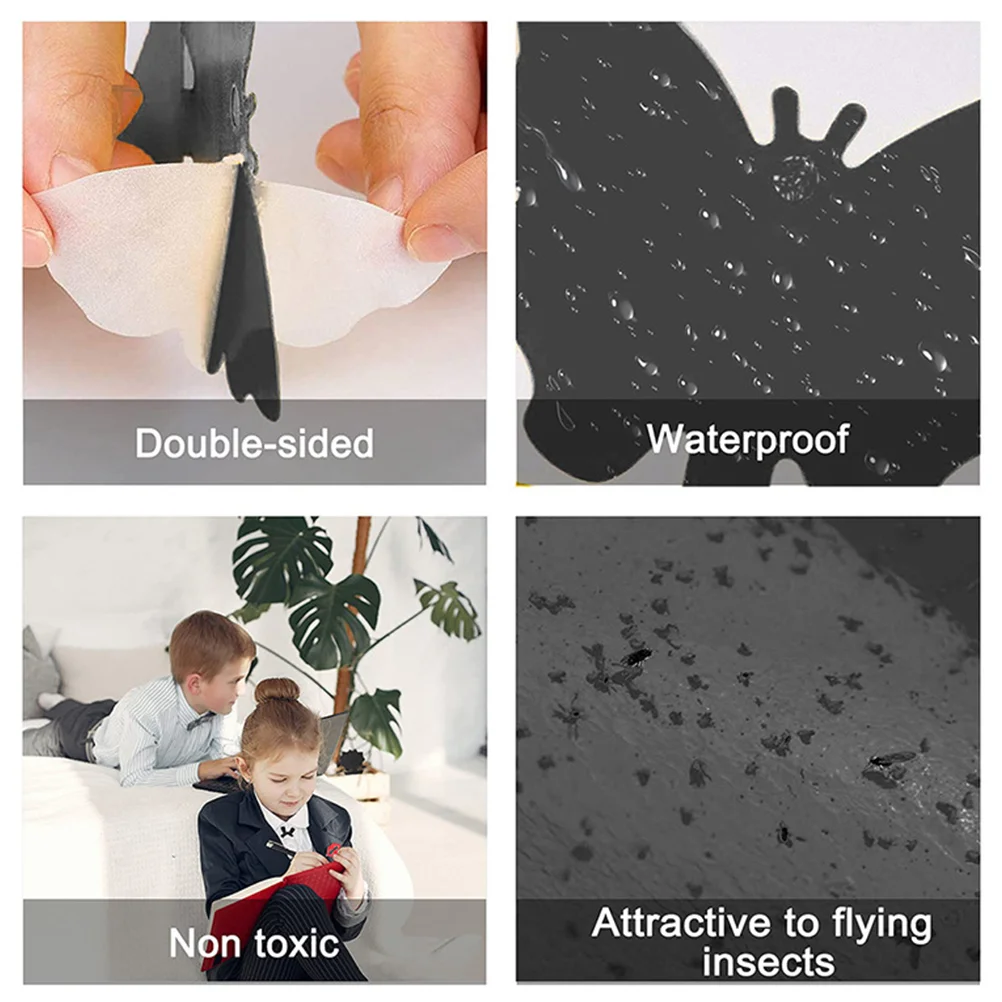 ���� ��ƼĿ ���� Ʈ��, ���� ų��, �ĸ� ������, ����, ������ �׳�Ÿ, 24 ��