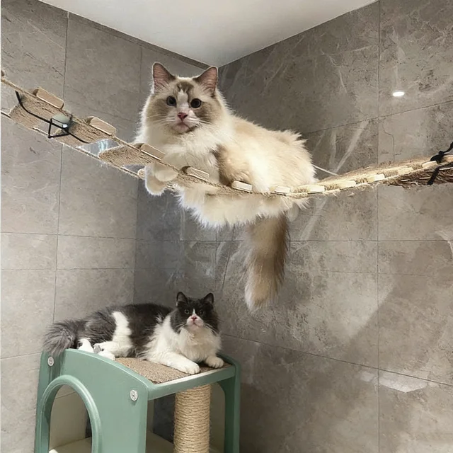 Pet Sisal Scratching Post Cat Step Pad Indoor Cat House Wall-Mounted Cat Tree 50cm Cat Ladder Hammock