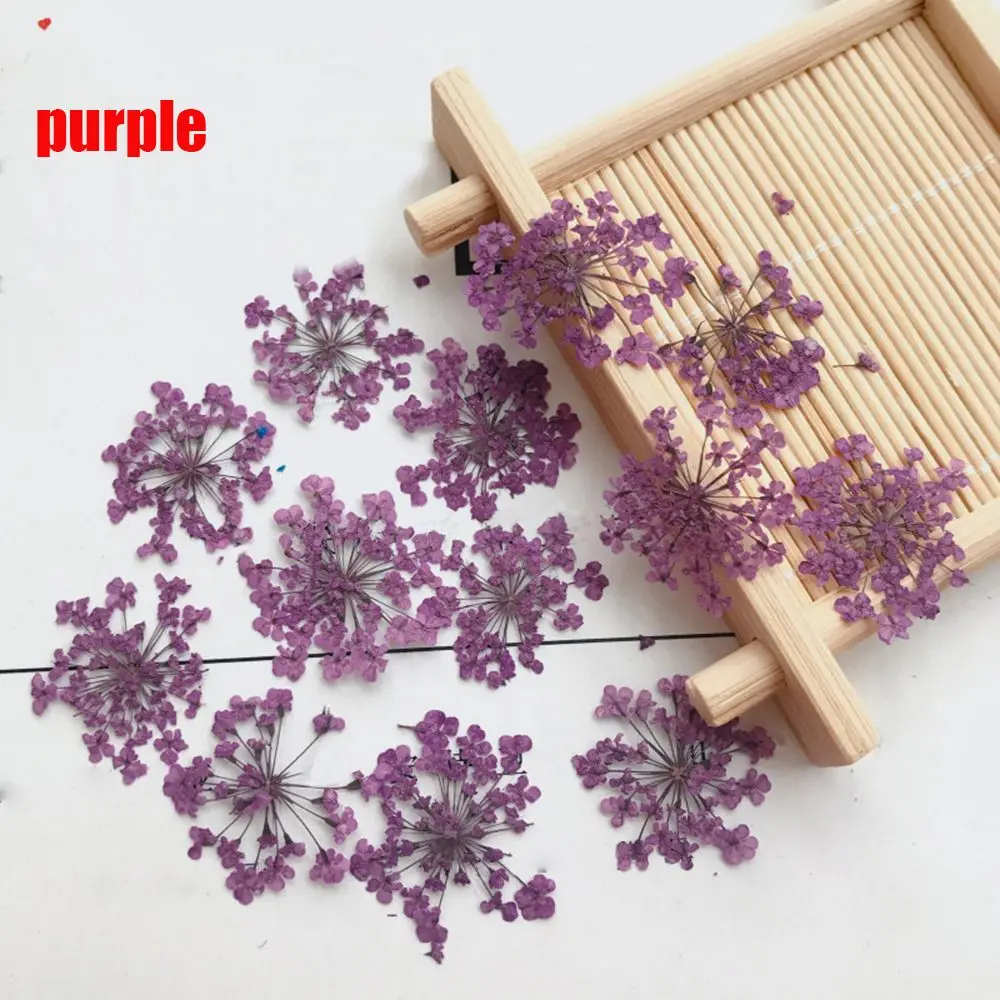 purple-