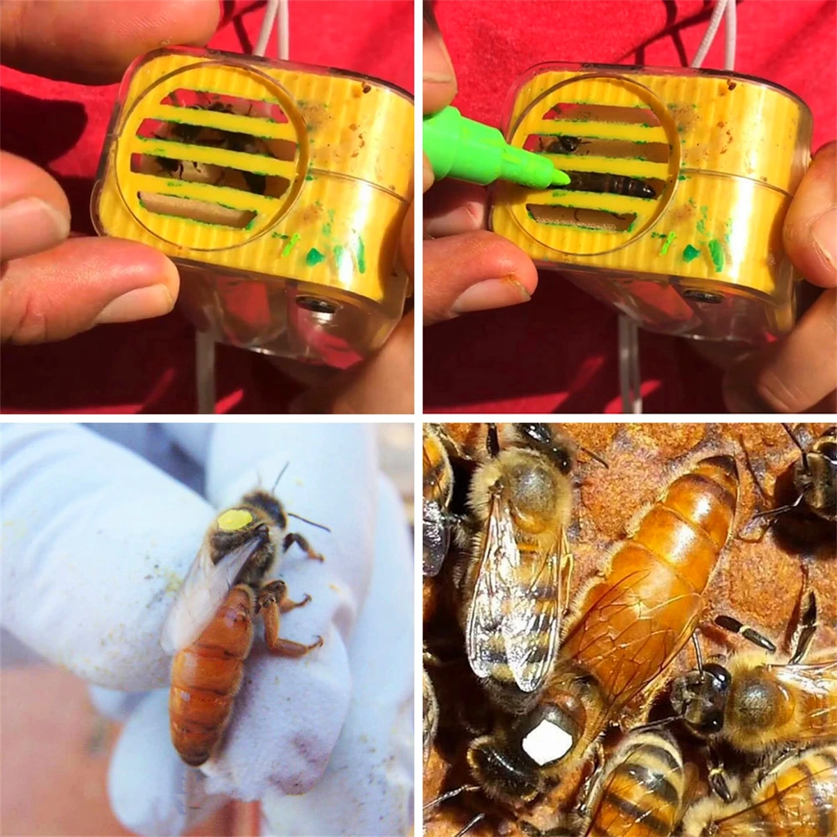 Queen Bee Yellow Marking Bottle 8 Colors Marking Pen Queen Bee Cage Push-Pull Bottle Fluorescent Pen Beekeeping Supplies 1 Set