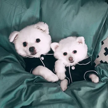 Dog Pajamas Summer Dog Clothes for Small Dogs Chihuahua Pet Shirt Clothing Ropa Perro Dogs Coat Jacket Puppy Costume Yorkshire 3