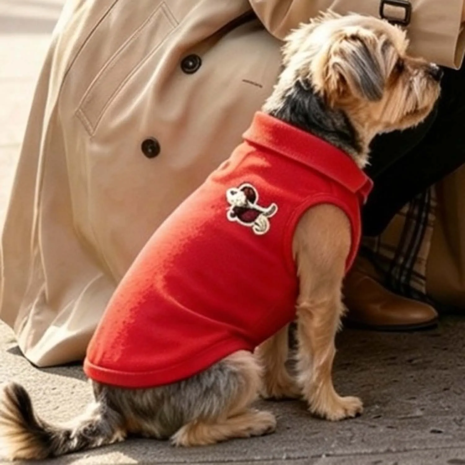 Polo ricamata alla moda per cani, traspirante, senza maniche, abbigliamento per animali domestici di piccola taglia, per passeggiate all'aperto. - Image 5
