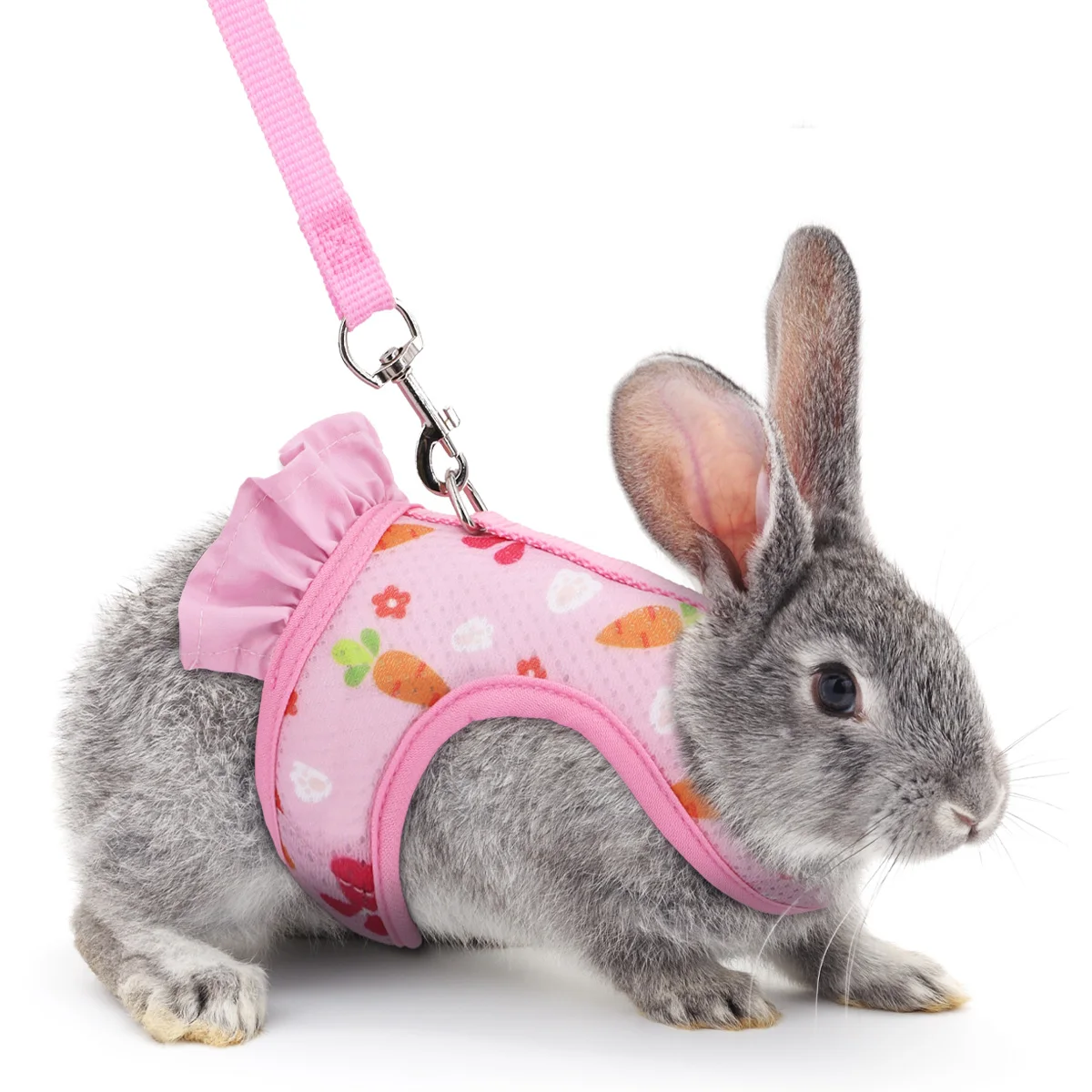 Rabbit Radish Harness Set 5