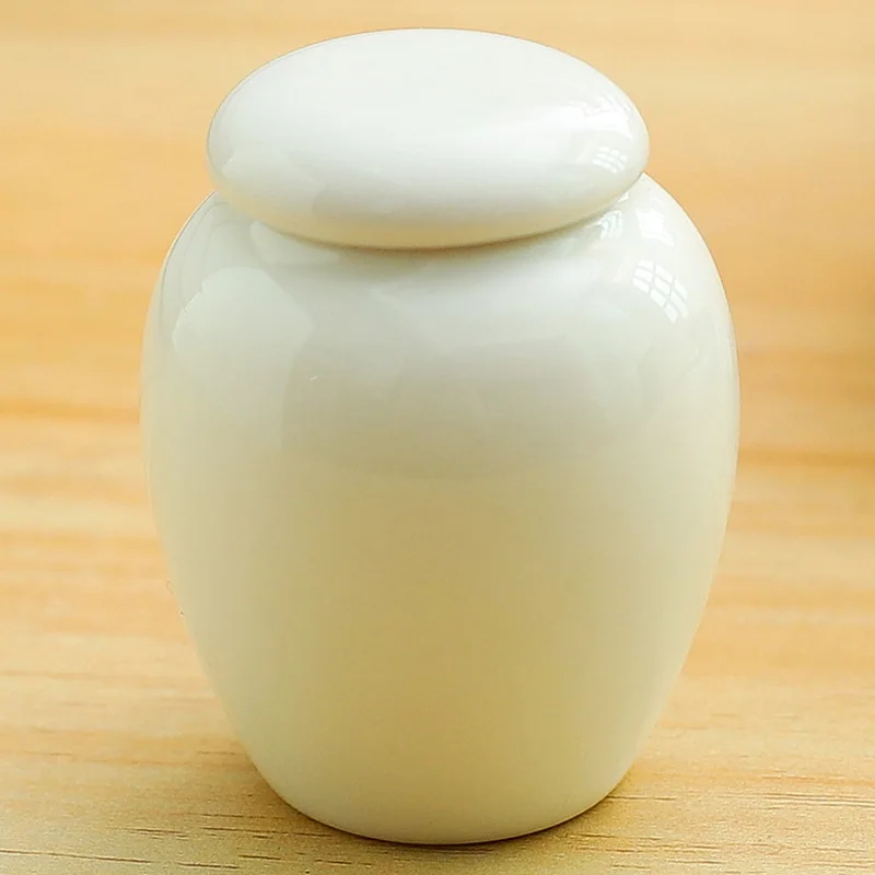 Cremation Urn Ceramic Pet Urns Personalised Small Animals Ashes Containers Cat Dog Funeral Coffin Reliquaries Deceased Pet Souvenir
