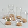 24 X Dia 10cm Tabletop Display Glass Dome Cloche Cover Decor Handmade Craft Dry Flower Ornaments Bell Jar With Wooden Base 1