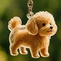 Dog 4