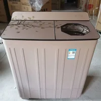 13kg 15kg Household Semi-automatic Double Barrel Washing Machine Wash and Dry Large Capacity Plastic Bucket Washing Machine 1