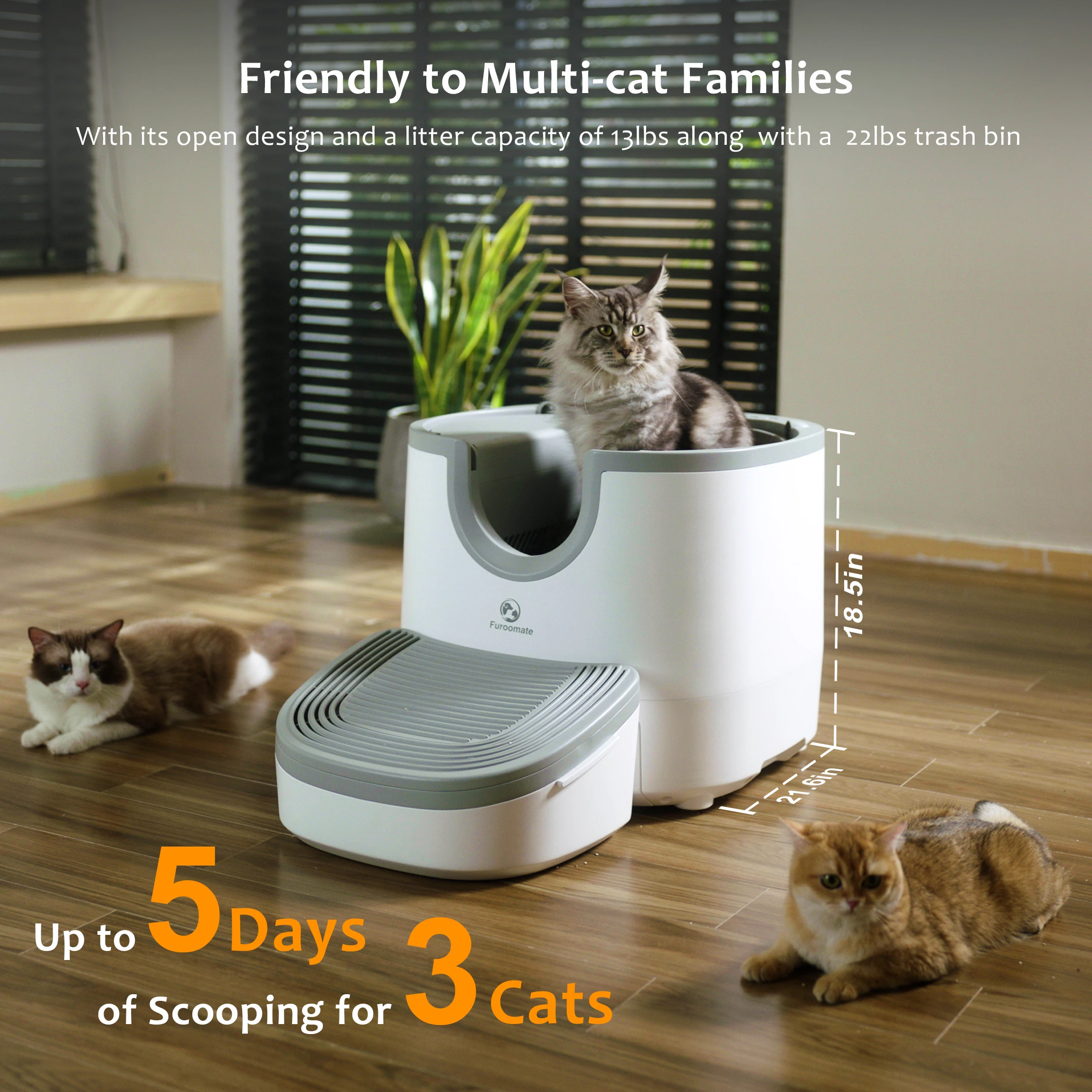 Self-Cleaning Cat Litter 2