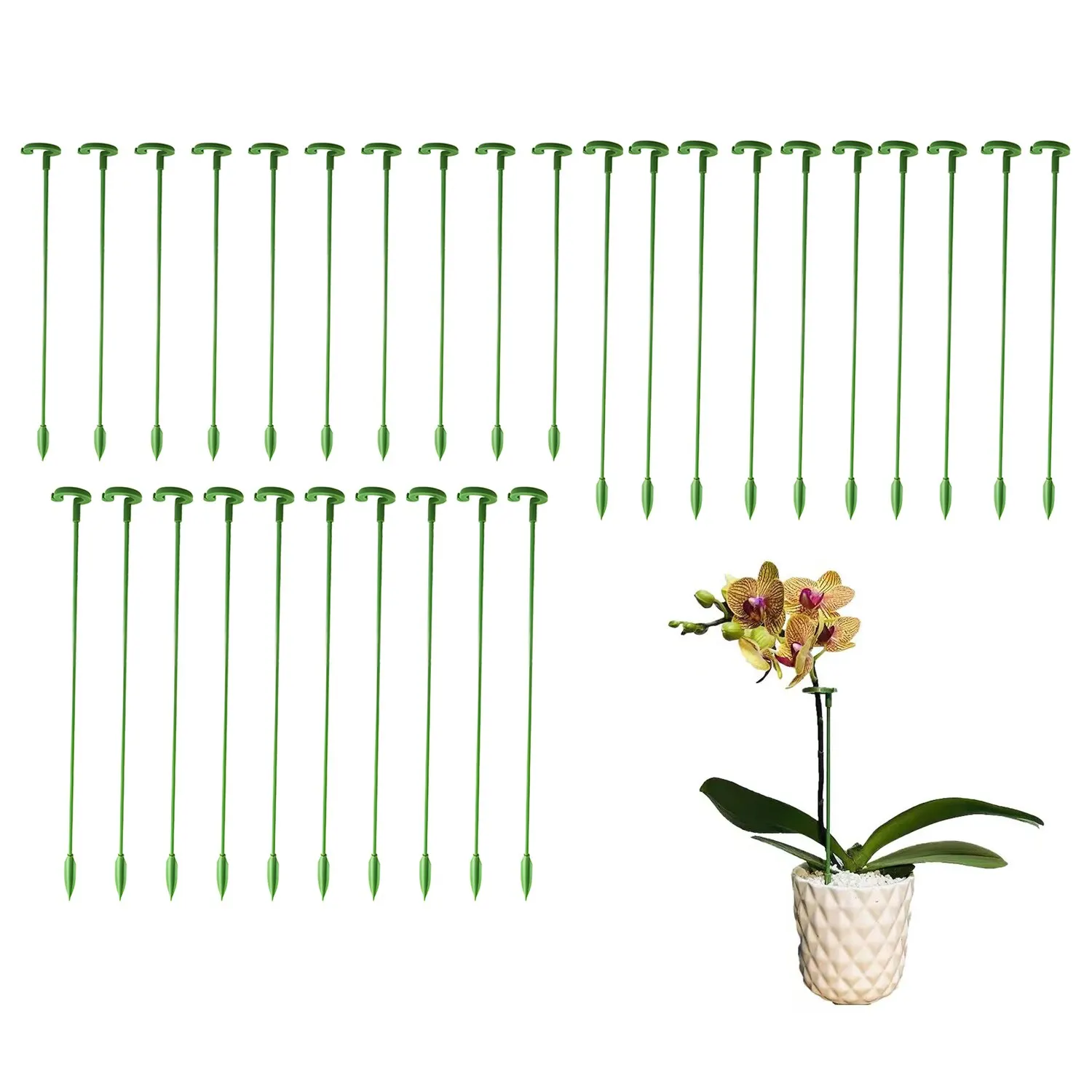 Plant Support Stakes Garden Single Stem Flower Support Stake Amaryllis Plant Cage Plastic Flower Stand