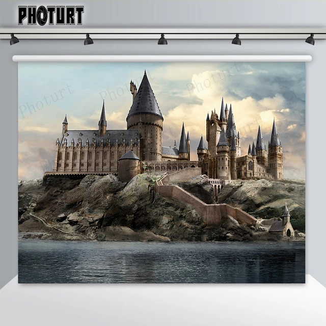 Happy Birthday Harry Potter Images  Harry Potter Birthday Decorations -  Photography - Aliexpress
