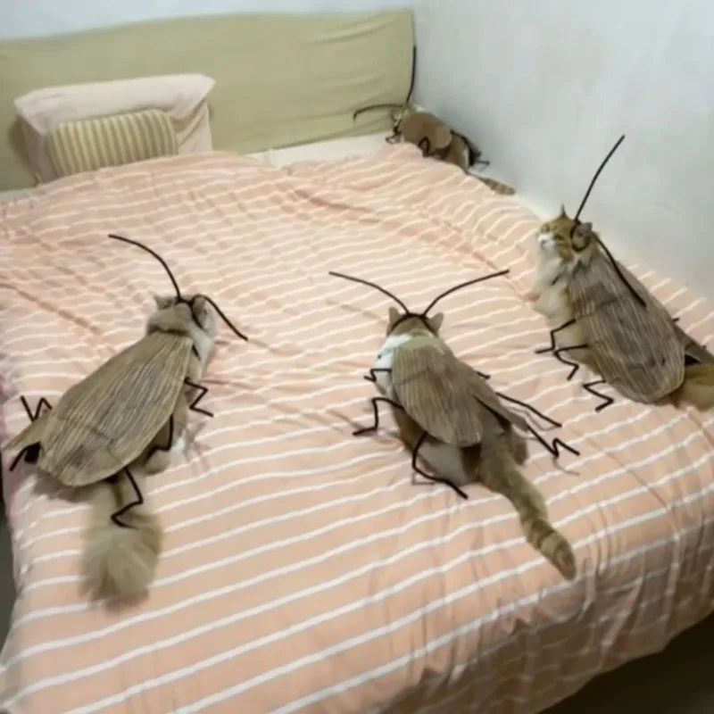 이상한 재미있는 고양이 DIY 바퀴벌레 창의적인 애완 동물 코스프레 의상 패션 스트리트웨어 의류 사진 소품 액세서리