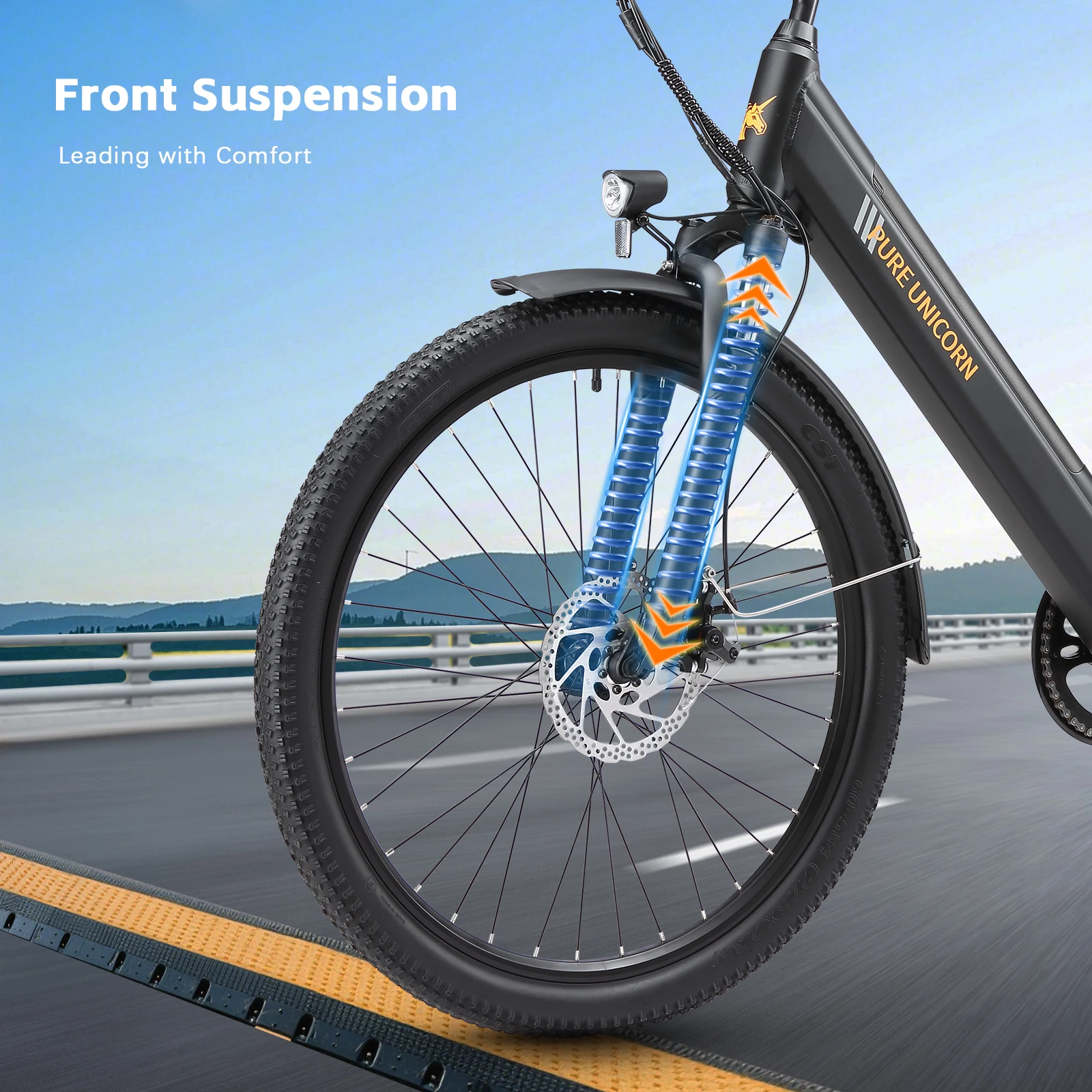 Erwachsenen-Elektrofahrrad 48V 750W 45km/h Unterstütztes Elektrofahrrad 12,8Ah Kostenloser Versand Günstiges E-Bike Damen-E-Bike – Detail 7