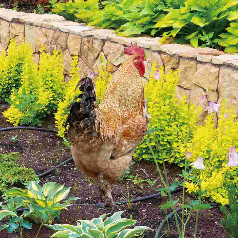 

Chicken Rooster Figurines Garden Decoration Outdoor Decorations for Patio and Yard
