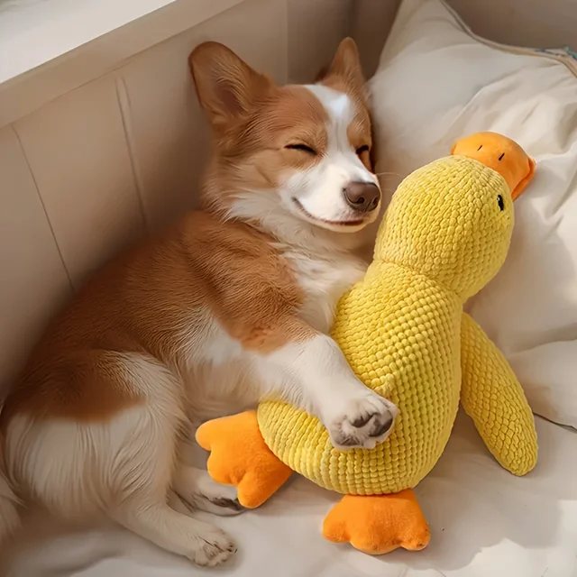 Durable Chew-Resistant Plush Duck Dog Toy,Soft Interactive Chew Proof Companion,Bright Yellow Safe Chewable Puppy Toy for Dogs Durable Chew-Resistant Plush Duck Dog Toy,Soft Interactive Chew Proof Companion,Bright Yellow Safe Chewable Puppy Toy for Dogs