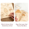 Montessori Wooden Life Cycle Puzzles Toy Bee Insect Structure Learning Plant Growth Cycle Science Teaching Aids Math Sorting Toy 4