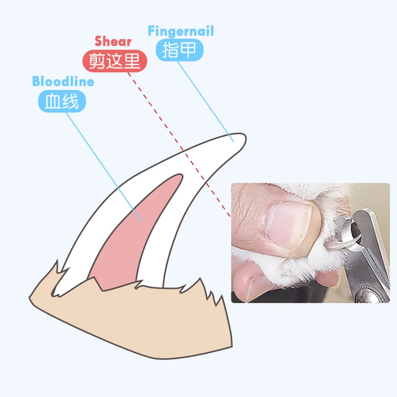 Pet Cat Dog Nail Clipper Cutter Stainless Steel Grooming Scissors Clippers Claw Nail Scissors Cut with Lock