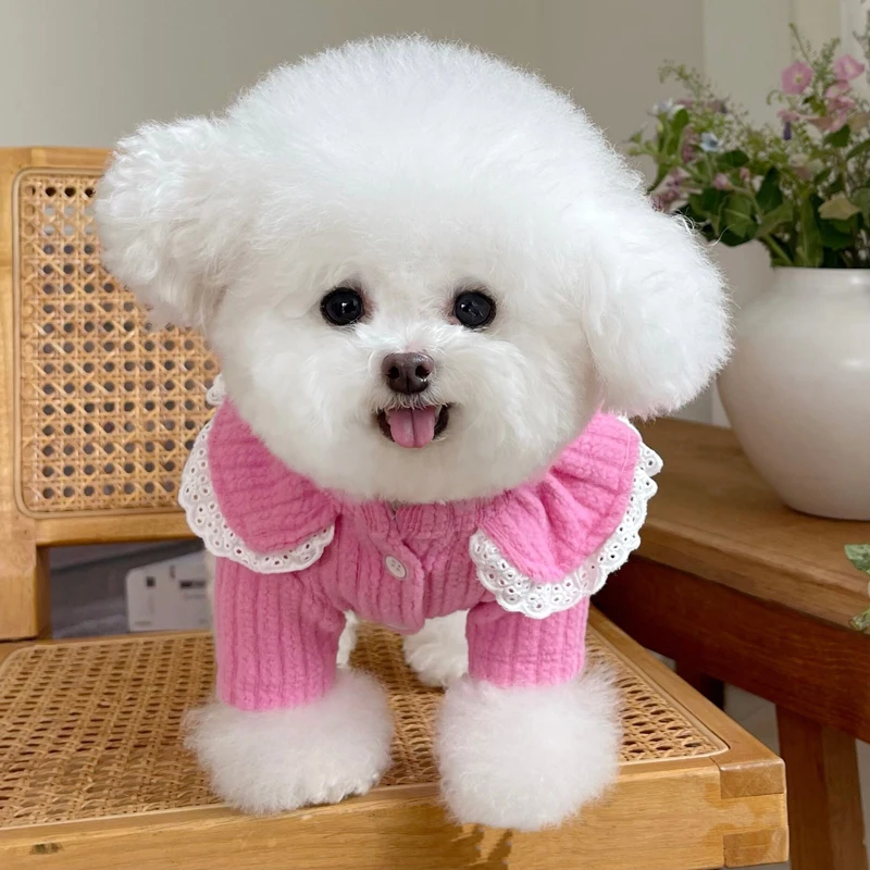 

Зимний теплый свитер для собак, водолазка, одежда для домашних животных для маленьких собак, трикотажное пальто, одежда для чихуахуа, щенков, кошек, курток
