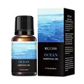 Ocean