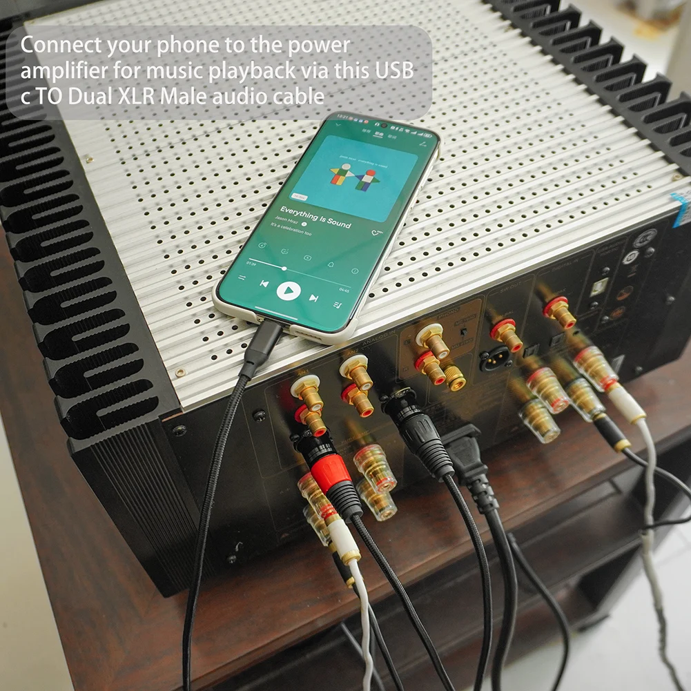 Premium Type C to Dual XLR Male Audio Cable with Built-in DAC Chipset