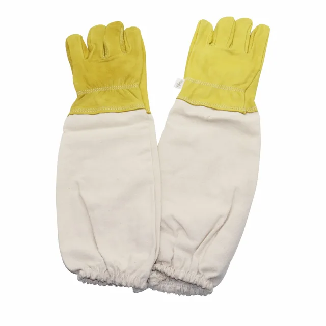 Gloves-200006154
