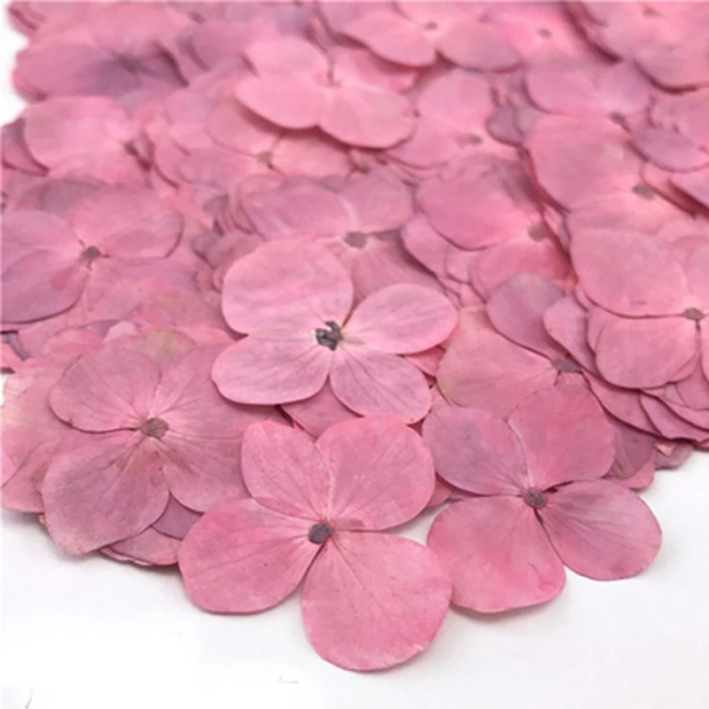 

Маленькие прессованные цветы для украшения дома, подарки для ожерелья, аксессуары, Бесплатная доставка, 100 шт.