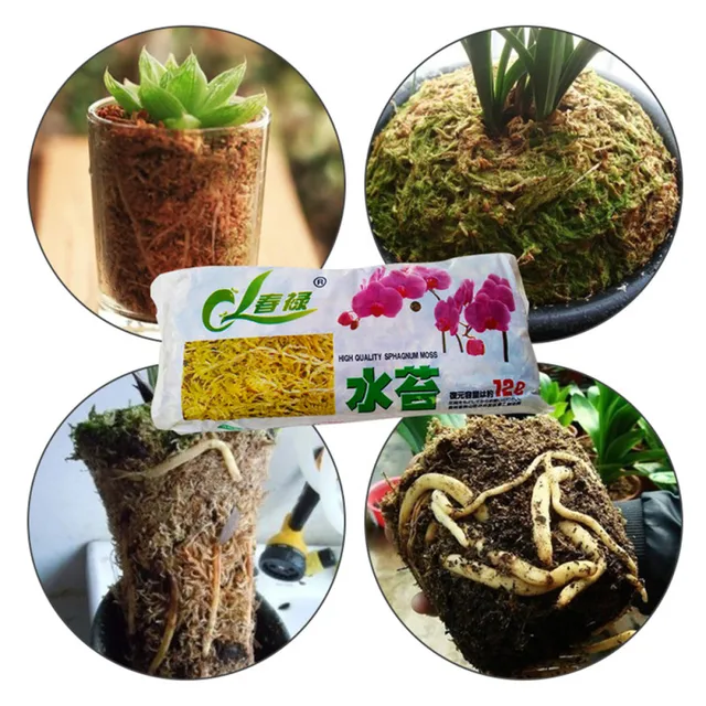 12L Természetes Sphagnum Moha Mohát Hidratáló Táplálkozási Szerves Műtrágya A Phalaenopsis Sarracenia Orchidea Kerti Növényekhez - Image 4
