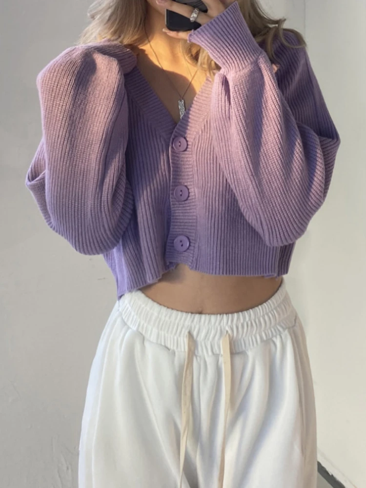 여성용 V넥 니트 가디건, 캐쥬얼 패션 상의, 다용도 짧고 부드럽고 끈적한 재킷, 니트 얇은 재킷, 가을  Best5