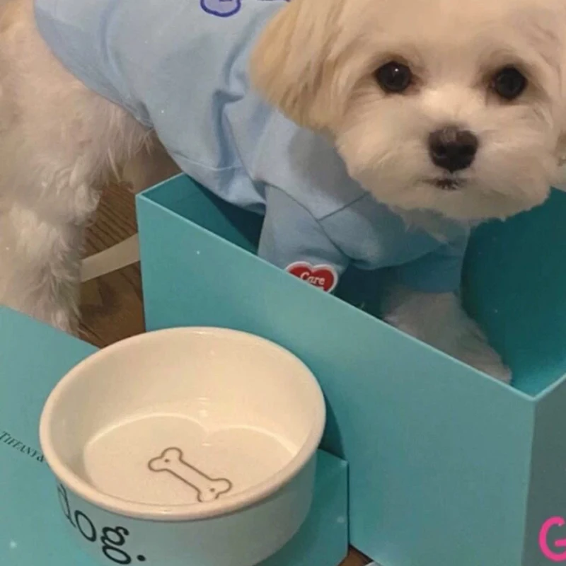 Dog bowl in bone china, small.