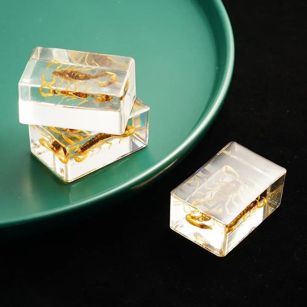 Камень в виде насекомых, натуральные скорпионы, янтарный образец, свадебный подарок, пресс-папье, декоративный камень, вечерние Cfraft Resin Home T S1B6