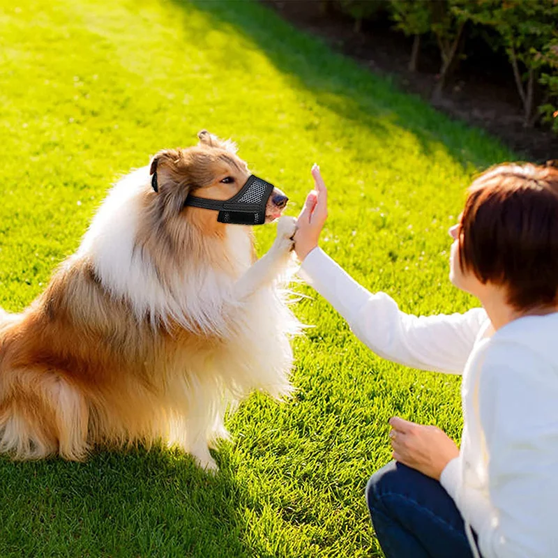 reflexivo pet boca capa para pequeno médio