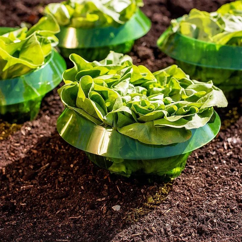 Plants Snail Protection Rings Vegetable Green Planter Flower Pot Pest Control Trapper Repel Snails Garden Protects Animal Tool 5