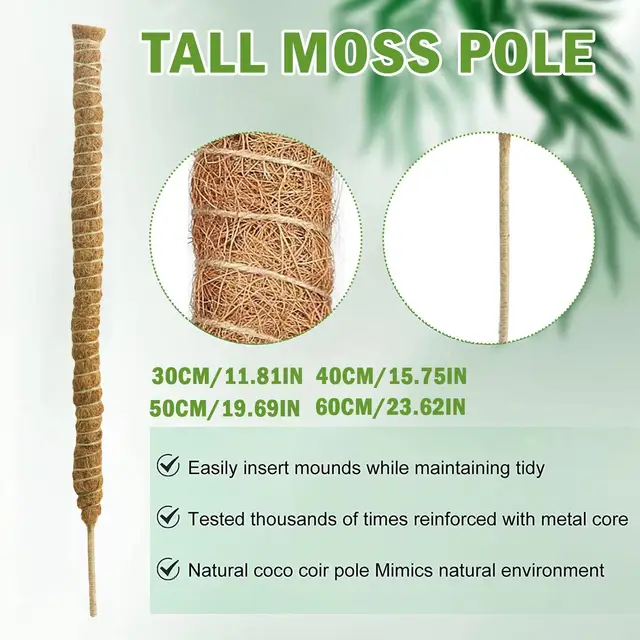 Diy Modellező Növényi Mászó Rúd Szőlő Kókuszdió Hajlított Pálma Oszlop Alakú És Moha Kertészkedés Zöld Kapor J3L0 - Image 3