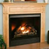 Dual Fuel Ventless Gas Fireplace Insert, Remote Control, 9 Fire Logs, Use with Natural Gas or Liquid Propane 1