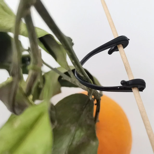 50X Kerti Növények Csomagolt Csatszőlő Szőlő Zöldség Heveder Klipek Üvegházhatású Zöldségek Szárak Rögzítő Rögzítőszerek Szerszám - Image 5