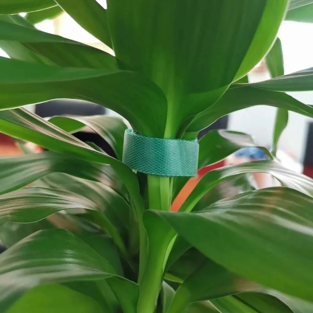 Durable Velcro Plant and Cable Strap - Nylon Self-Adhesive Hook Tie, 5M/10M