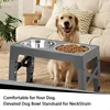 Dog Double Bowls Adjustable Elevated Pet Feeding