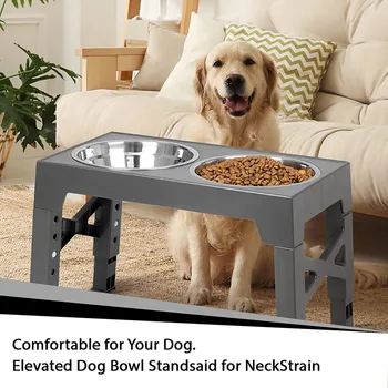 Dog Double Bowls Adjustable Elevated Pet Feeding