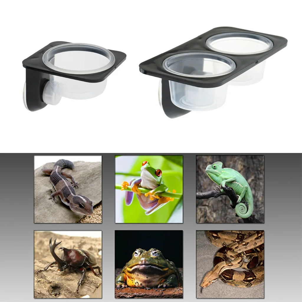 Reptiles & Amphibians Lizard Gecko Suction Cup Feed Bowls Food Container with Bowl for Reptile Food and Water Feeding