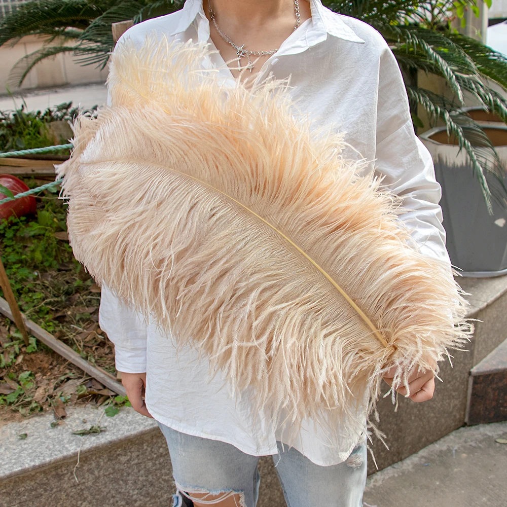 Wholasale Elegant White Ostrich Feathers for Crafts 15-75cm Wedding Party  Supplies Carnival Dancer Decoration plumas Plumages - Price history &  Review, AliExpress Seller - WyFeay Featers Lace Store