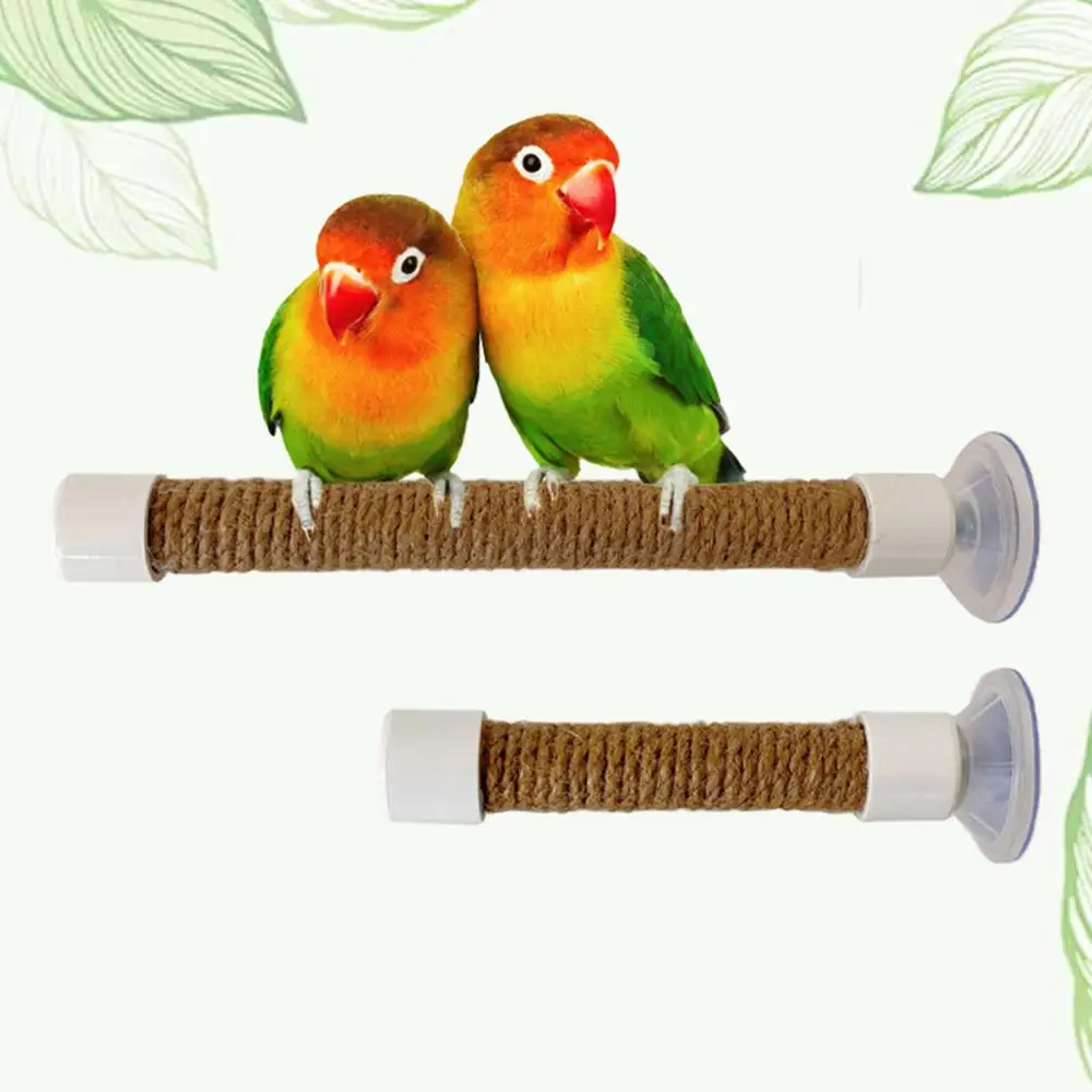 Saugnapf Vogel Fenster Und Dusche Barsch Spielzeug Für Papagei Ara Kakadu Afrikanische Für Grau Conure Sittich Papagei halterung – Detail 4