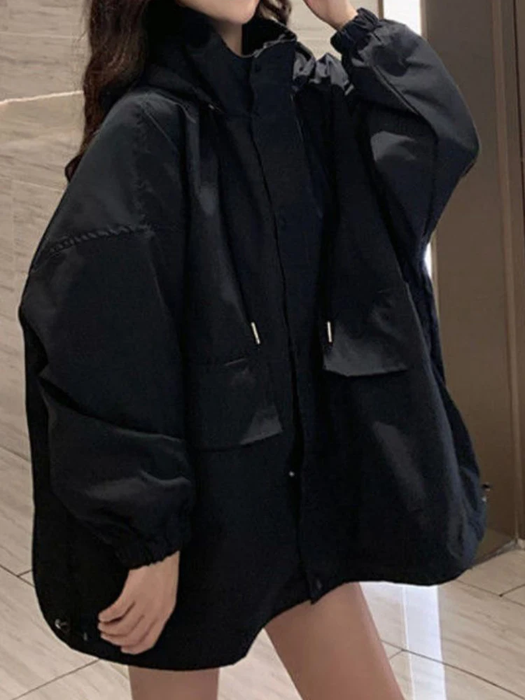  ѱ м ĵ Ʈ,  Ƽ øġ ƿ Ŷ, ĳ־    ƿ, 