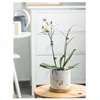 11/14/17cm Nordic Ceramic Flower Pots Small Succulent Green Plants Flowerpot with Tray Home Desktop Decoration Garden Supplies 4