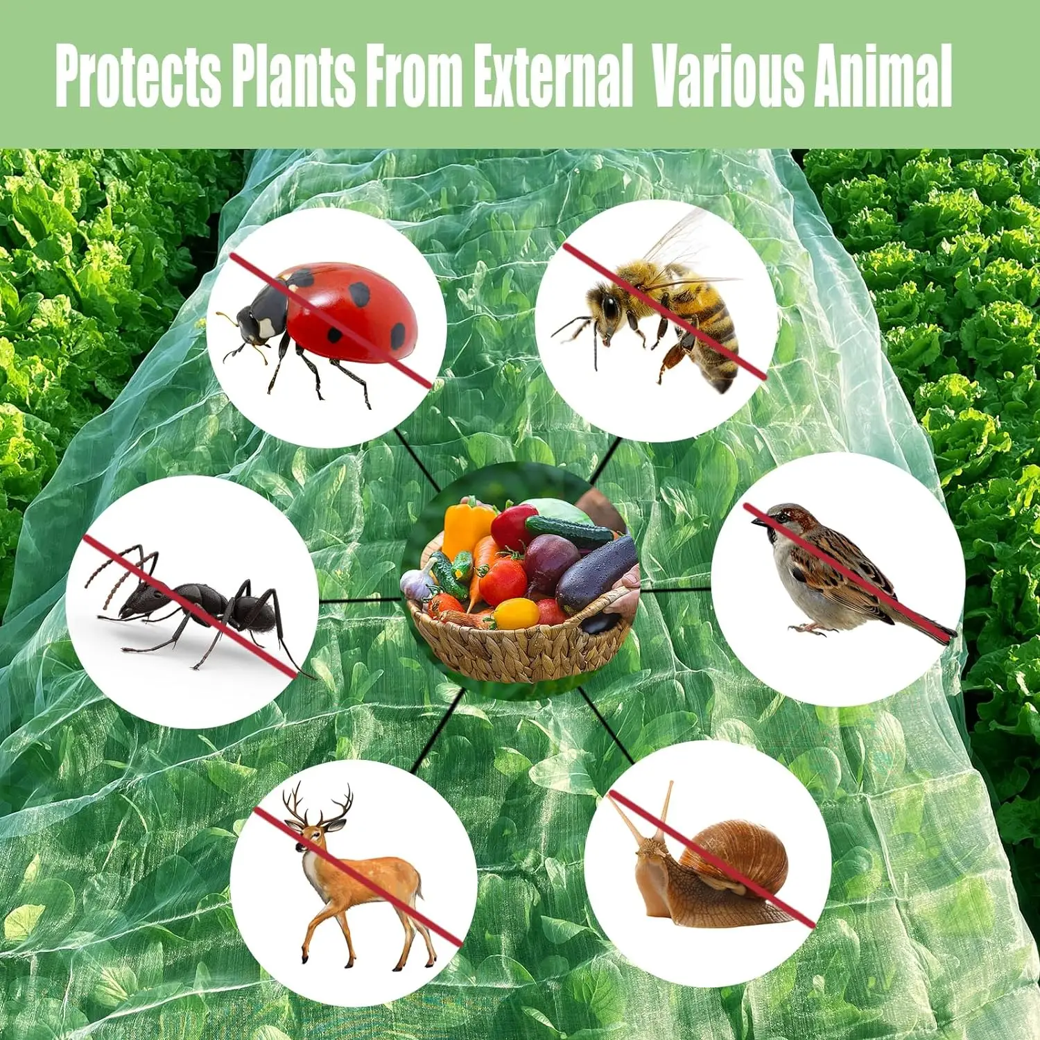 Slide image 06f19d69f83a456a9ede5d107abde0e1